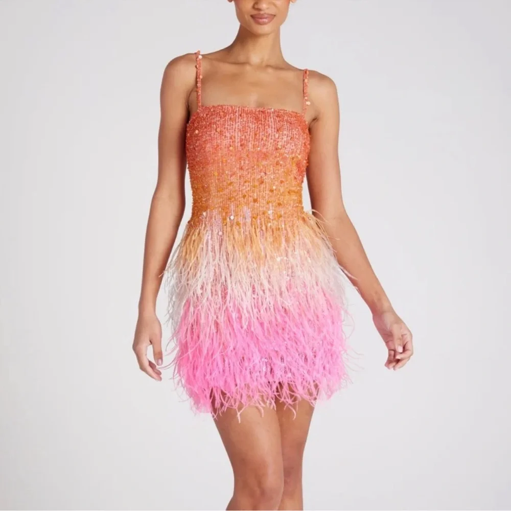 NADINE MERABI Cassie Sunset Dress sz XS NWT - Picture 1 of 11